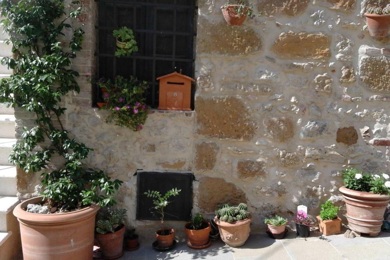 Casa Vacanze "Nonna Vela" Petroio 外观 照片