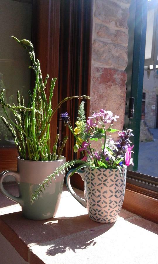Casa Vacanze "Nonna Vela" Petroio 外观 照片